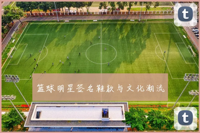 篮球明星签名鞋款与文化潮流