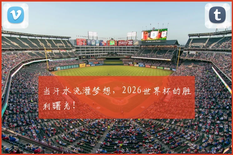 当汗水浇灌梦想,2026世界杯的胜利曙光!